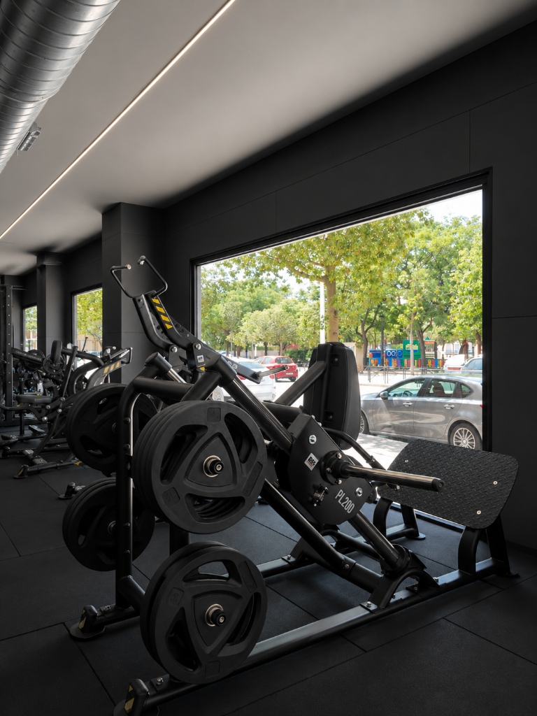 Plate loaded PL200 leg press facing window