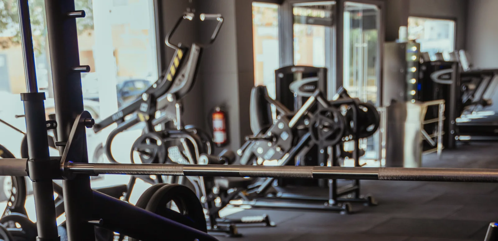 Bright front conditioning zone with plate-loaded training machines