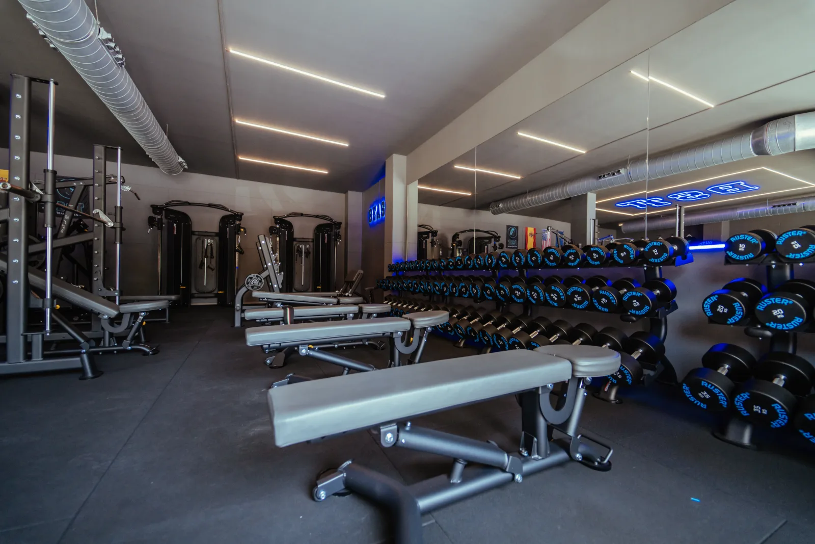 Long BEAST dumbbell rack with benches and mirrored training wall